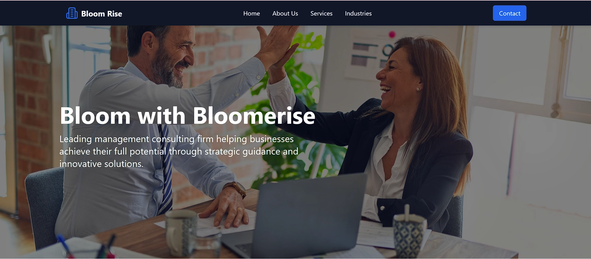 BloomRise Consultancy website for Business presence